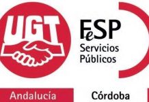 Comunicado de Prensa