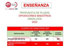 REPARTO DE PLAZAS OPOSICIONES PRIMARIA 2022