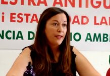 SARA PÉREZ. COORDINADORA REGIONAL DE UGT EN AMAYA: «EN ESPAÑA LOS INCENDIOS VAN CAMINO DE SALTAR A LOS LLAMADOS DE SEXTA GENERACIÓN»