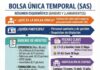 RESUMEN DE BOLSA ÚNICA TEMPORAL (SAS