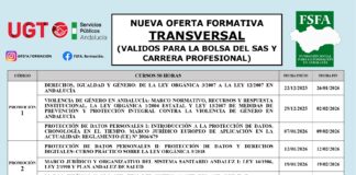 CURSOS TRANSVERSALES PARA EL PERSONAL DEL SAS