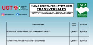 CURSOS TRANSVERSALES PERSONAL SAS