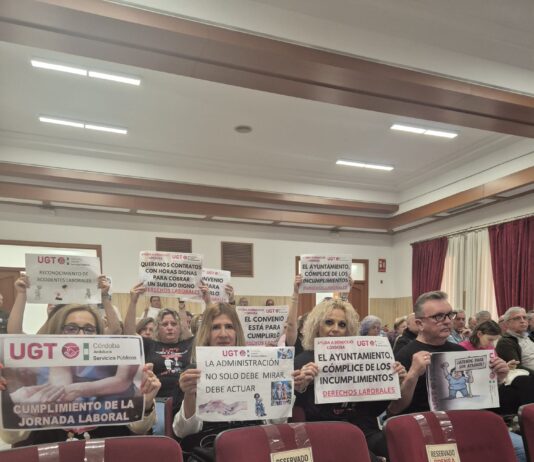 La Sección Sindical de ATENDE protesta en el Pleno Municipal
